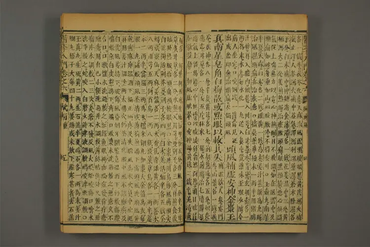 医学入门卷十三 医学入门卷十三