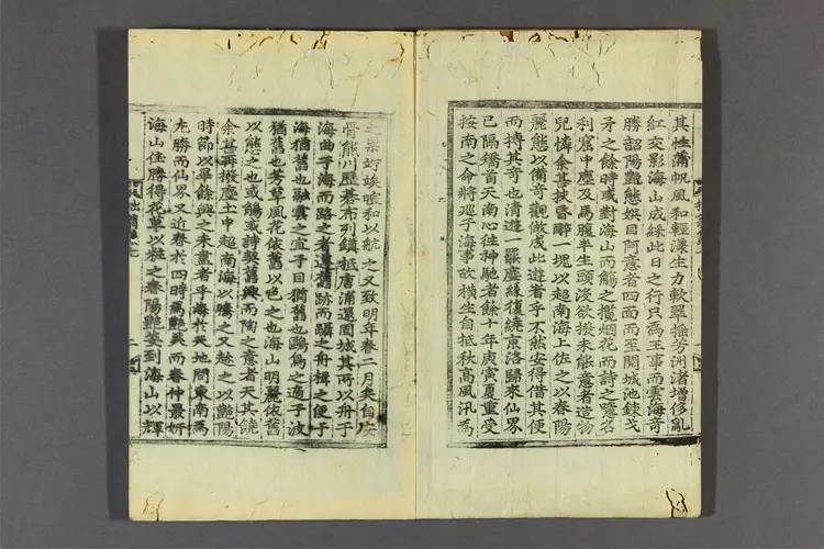 拙翁集 卷之1-10  洪聖民撰