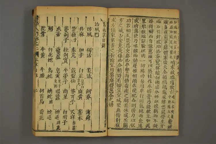 医学入门卷五 医学入门卷五