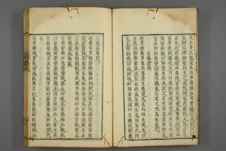 三因极一病证方论卷九、十