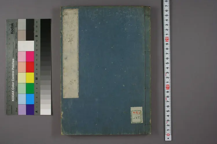 切脉一苇 切脉一苇