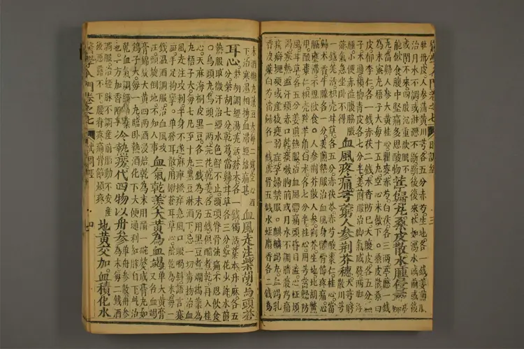 医学入门卷十五