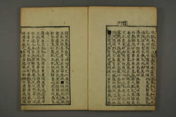 伤寒六书（杀车槌）卷四