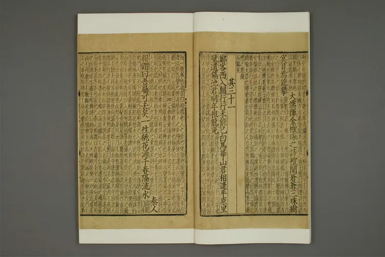 分類補註李太白詩 卷之1-12,21-25  李太白撰 ; 楊斉賢 集註 ; 蕭士贇 補註