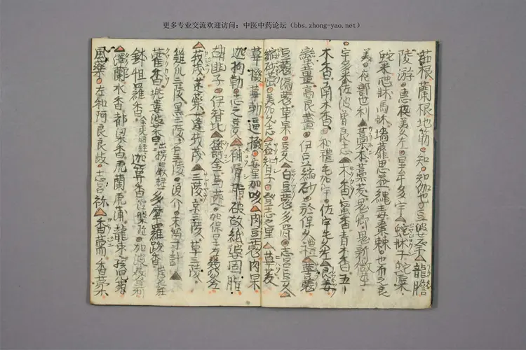 孤版手抄:药种两名集 孤版手抄:药种两名集