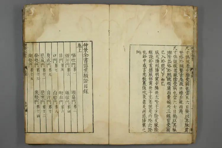 伤寒类证 伤寒类证