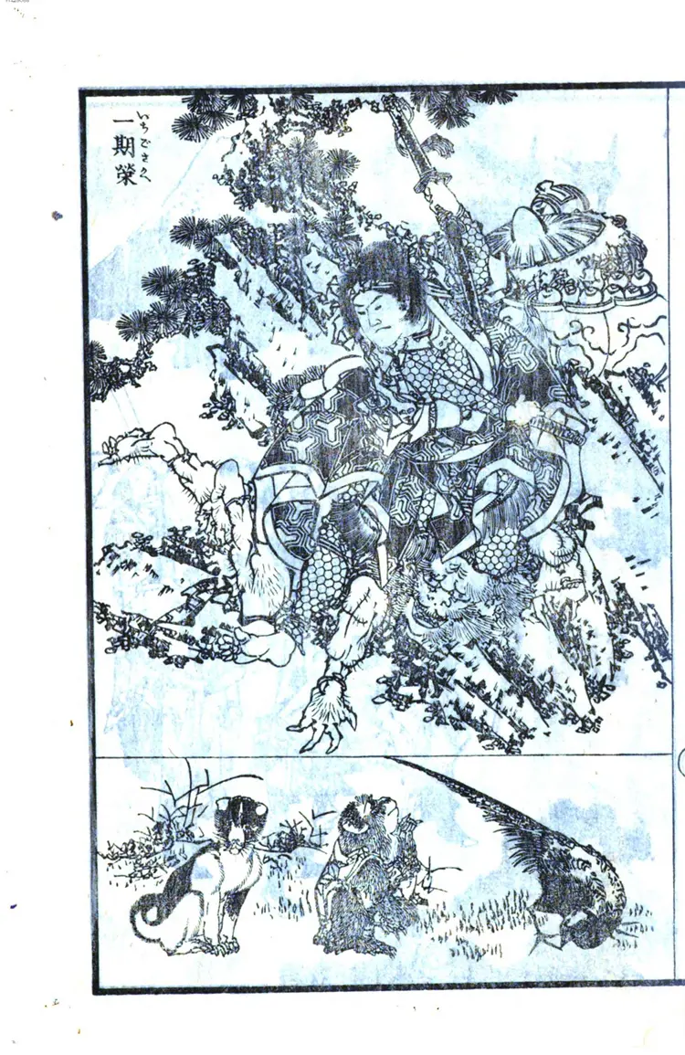 伝心画镜 伝心画镜