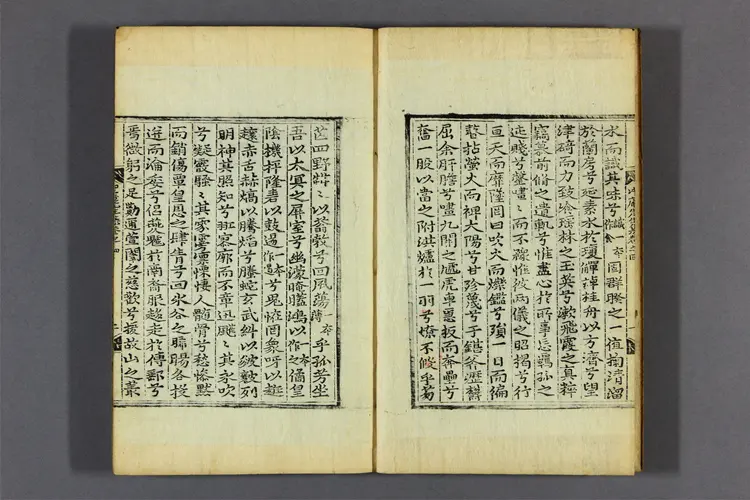 冲庵先生集 卷之1-5  金浄撰