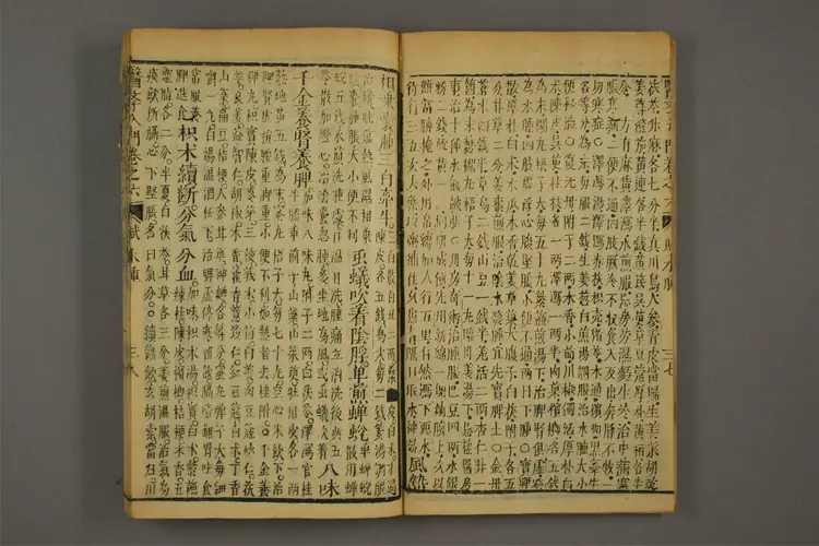 医学入门卷十四 医学入门卷十四