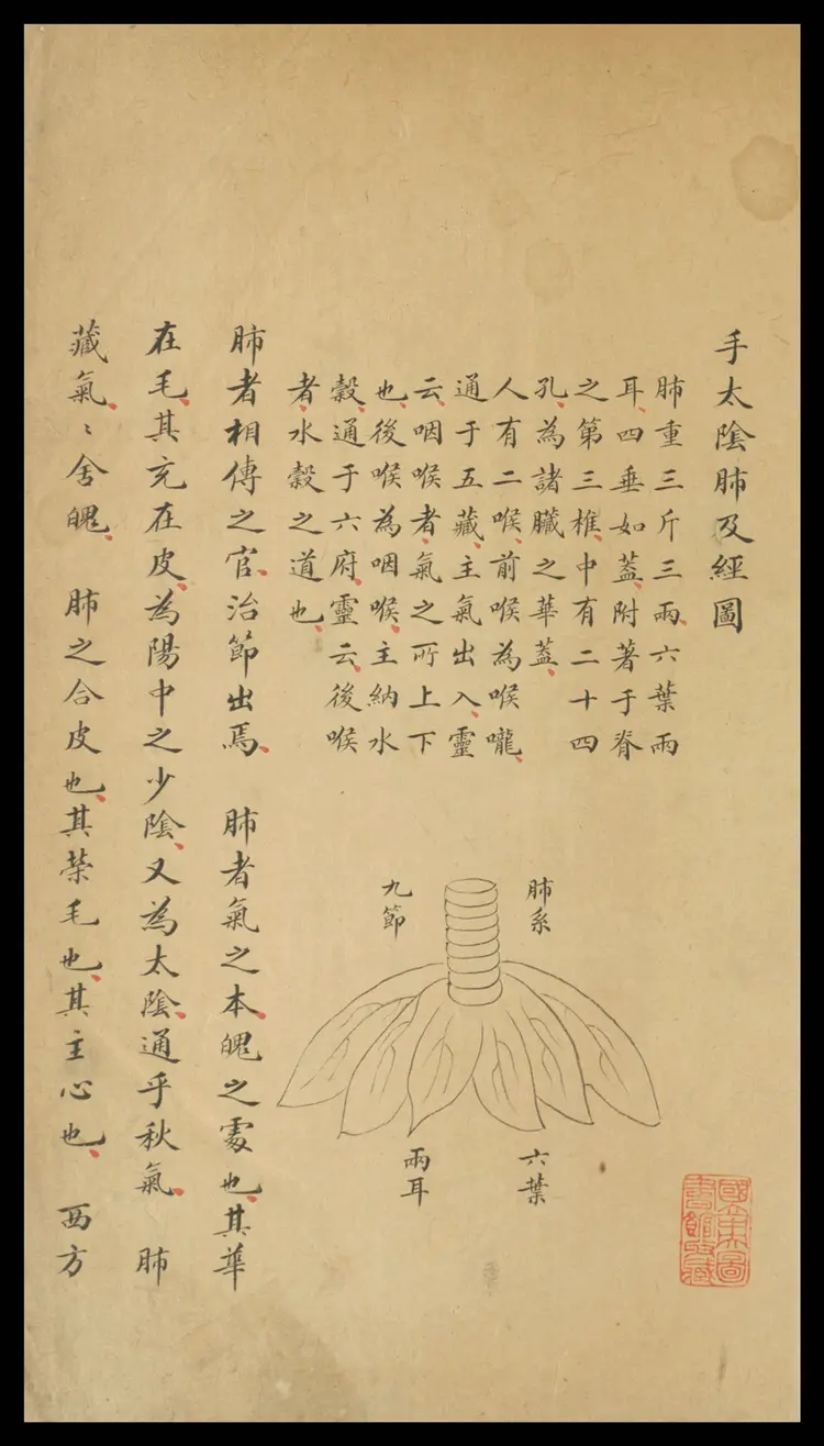 十四经穴歌.1卷.钞本.清代