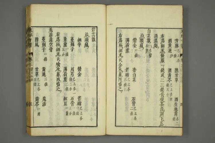 东垣十书卷十五