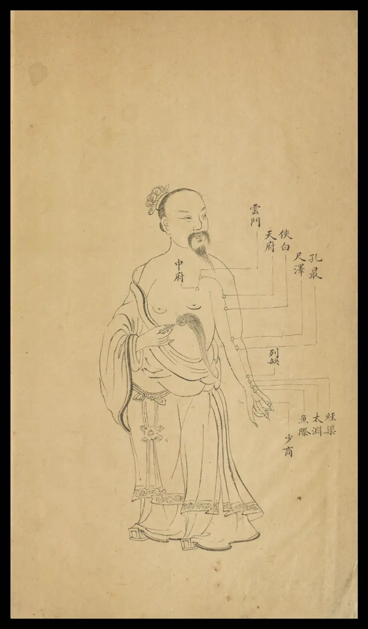 十四经穴歌.1卷.钞本.清代