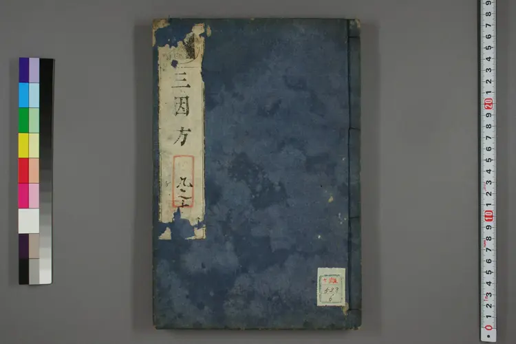 三因极一病证方论卷九、十