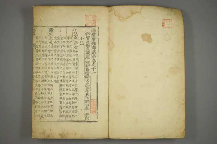 东医宝鉴卷二十一 东医宝鉴卷二十一