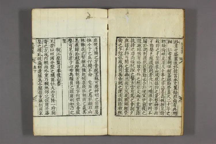 泛翁集 卷之1-6,附录  洪柱国著