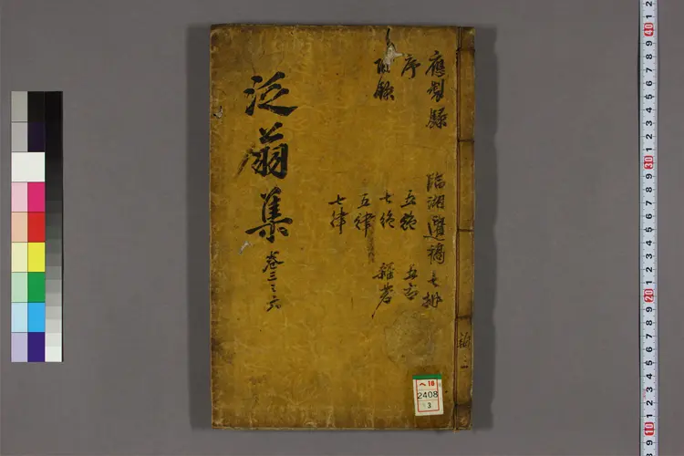 泛翁集 卷之1-6,附录  洪柱国著