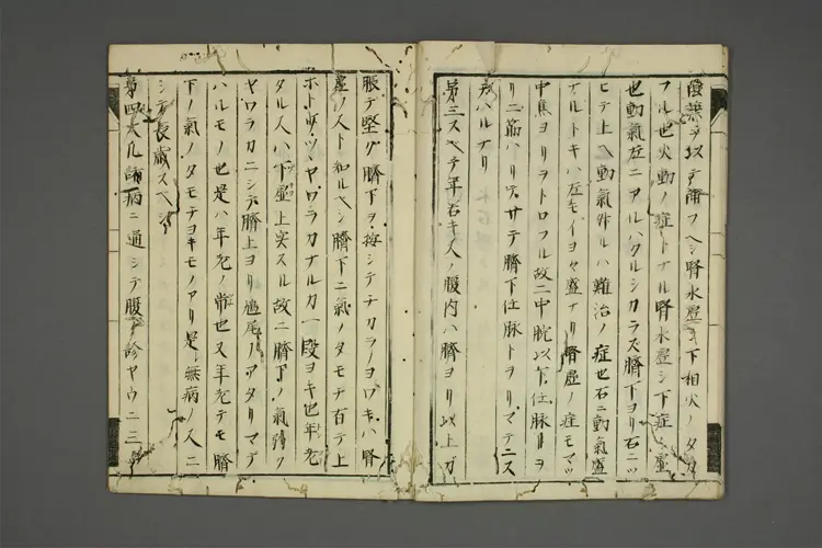 复诊之传 复诊之传