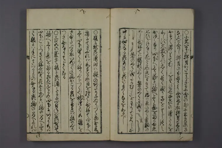 大人小儿疗治方