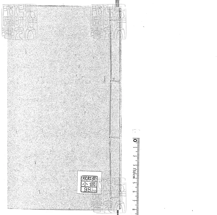 922 新鐫批評繡像桃花影快史十二回 清刊本 922 新鐫批評繡像桃花影快史十二回 清刊本