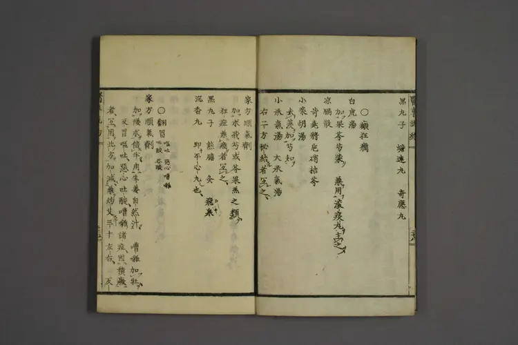 一本堂医事说约卷二