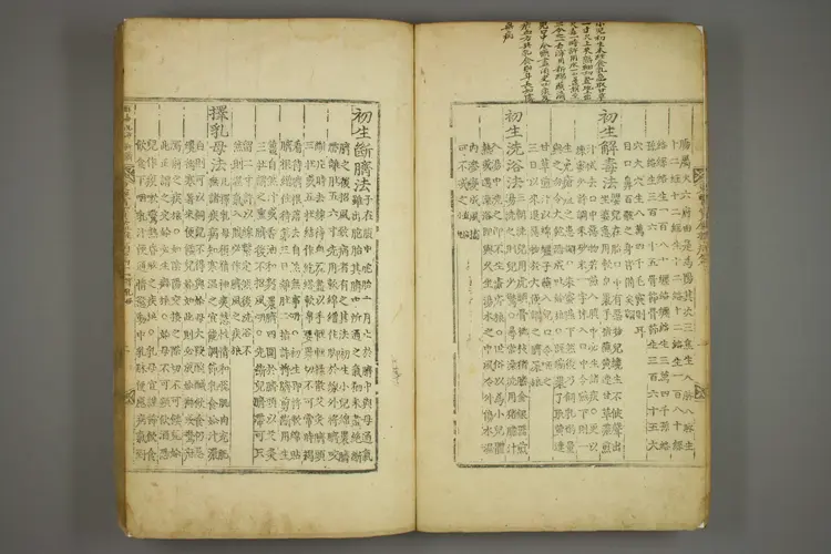 东医宝鉴卷二十一 东医宝鉴卷二十一