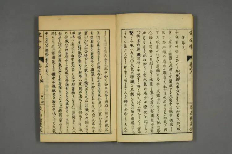 健全学卷六 健全学卷六