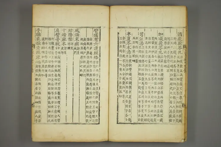 东医宝鉴卷十 东医宝鉴卷十