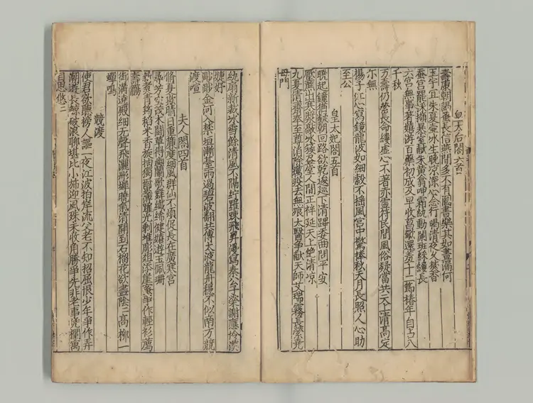 类编增广颍滨先生大全文集 著者蘇轍(宋)宋刊本0203 类编增广颍滨先生大全文集 著者蘇轍(宋)宋刊本0203