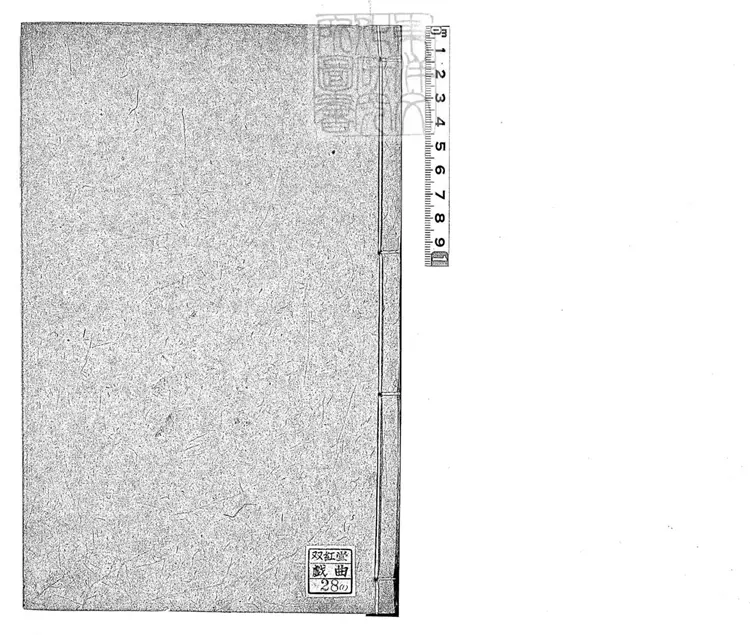 605 雙忠廟傳奇二卷　清刊本