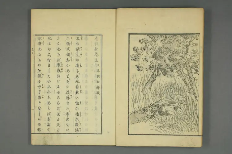 养性诀上卷 养性诀上卷