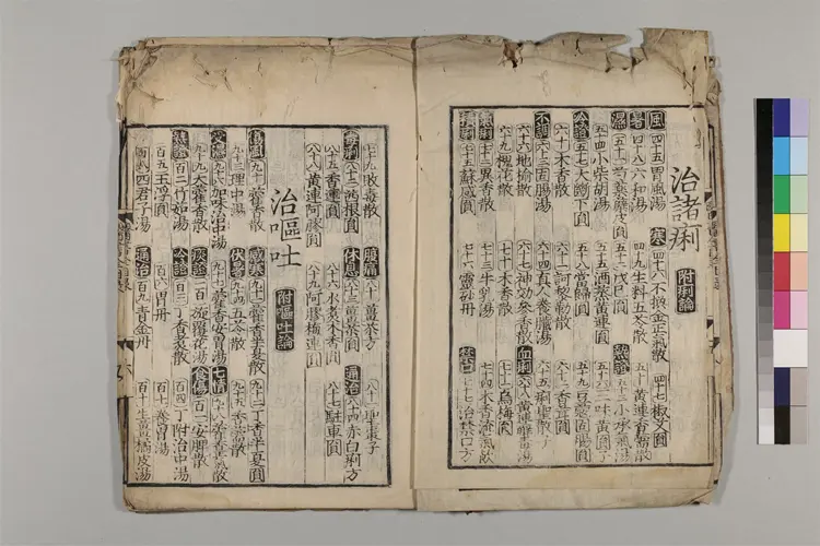 (新編名方類証)医書大全 16巻