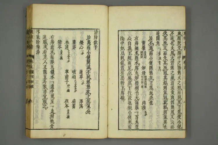 东垣十书卷十六