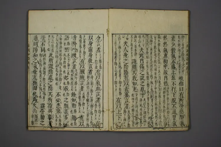 医经溯洄集和语钞卷十 医经溯洄集和语钞卷十