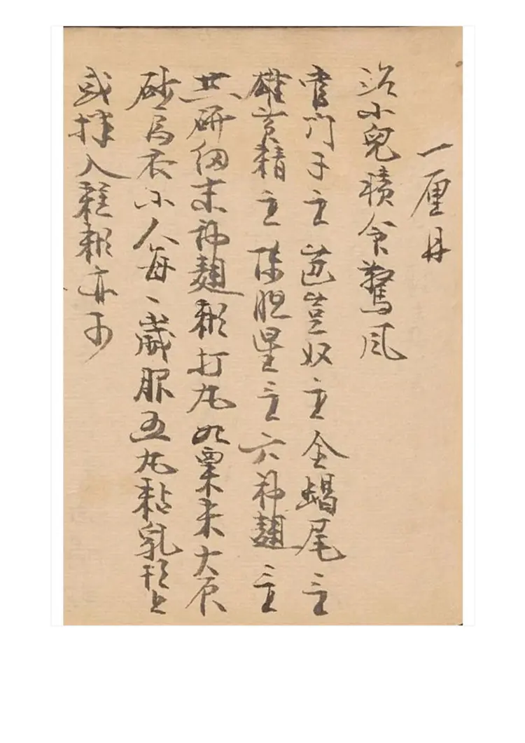 梦梅氏丹方秘要48页