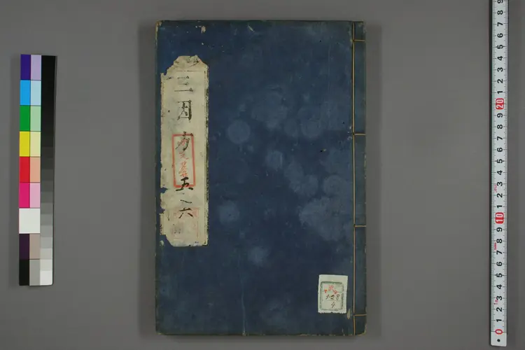 三因极一病证方论卷五、六 三因极一病证方论卷五、六