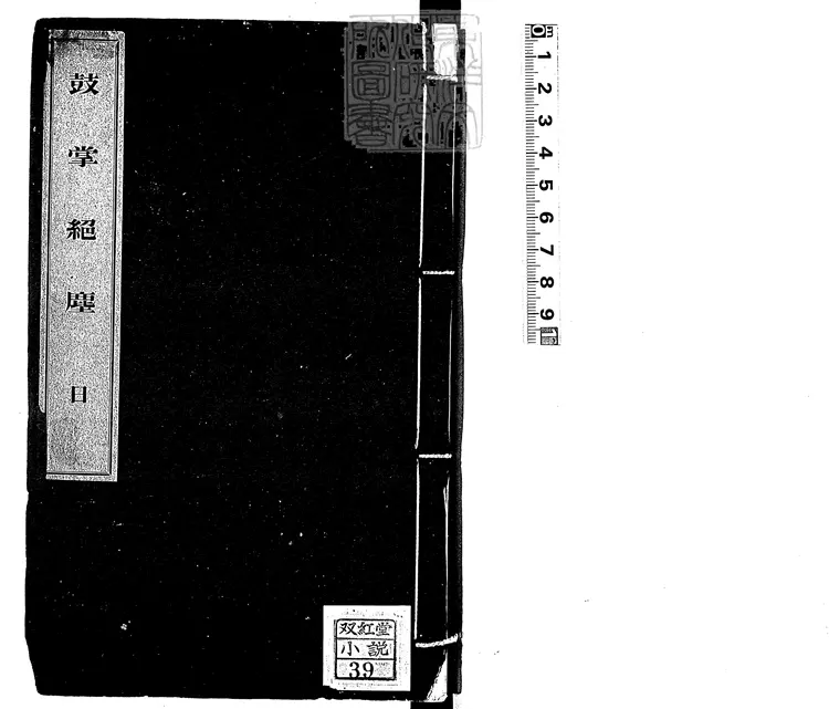 840 新鐫出像通俗小說鼓掌絕塵二集 大正五年大連支那珍籍頒布會刊本 840 新鐫出像通俗小說鼓掌絕塵二集 大正五年大連支那珍籍頒布會刊本