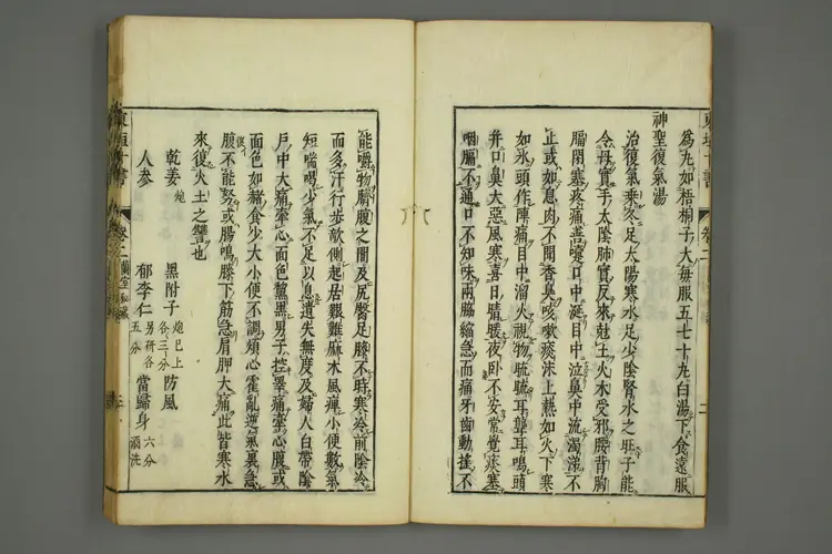 东垣十书卷十四 东垣十书卷十四