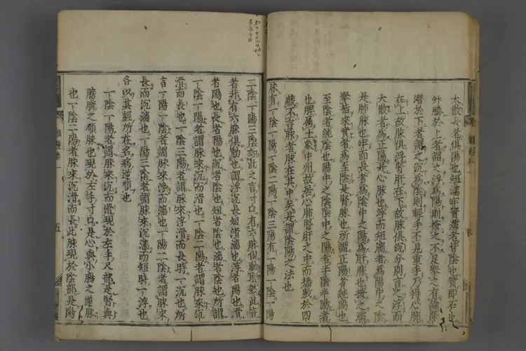 八十一难经图卷二 八十一难经图卷二