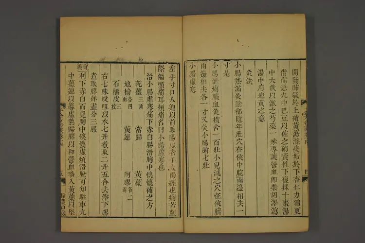 千金方衍义卷十九 千金方衍义卷十九