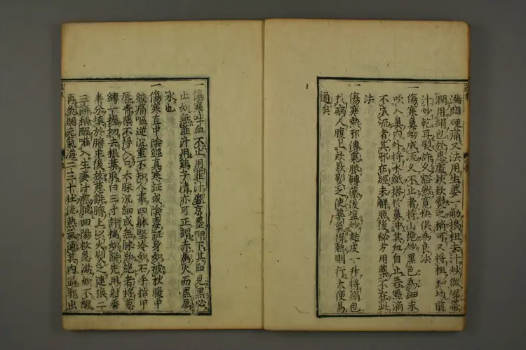 伤寒六书（杀车槌）卷四