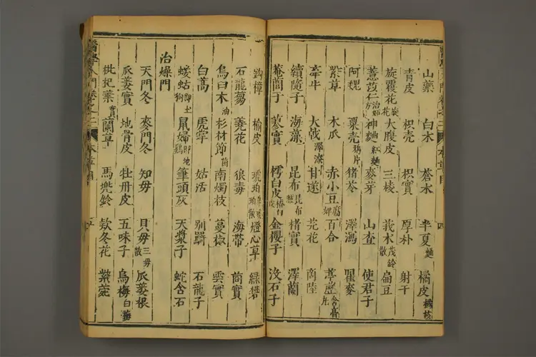 医学入门卷五 医学入门卷五