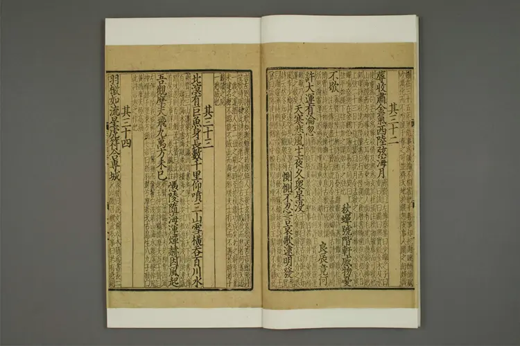 分類補註李太白詩 卷之1-12,21-25  李太白撰 ; 楊斉賢 集註 ; 蕭士贇 補註