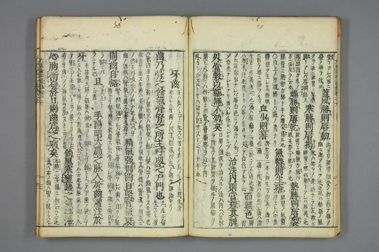 医方大成论和语抄卷七 医方大成论和语抄卷七