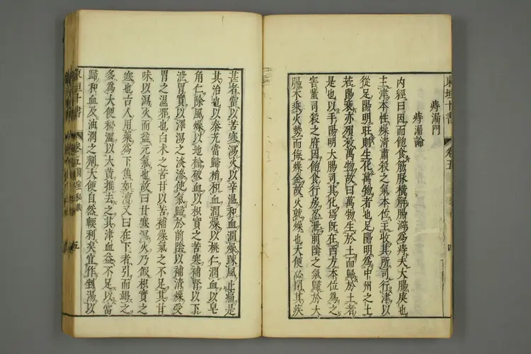 东垣十书卷十六