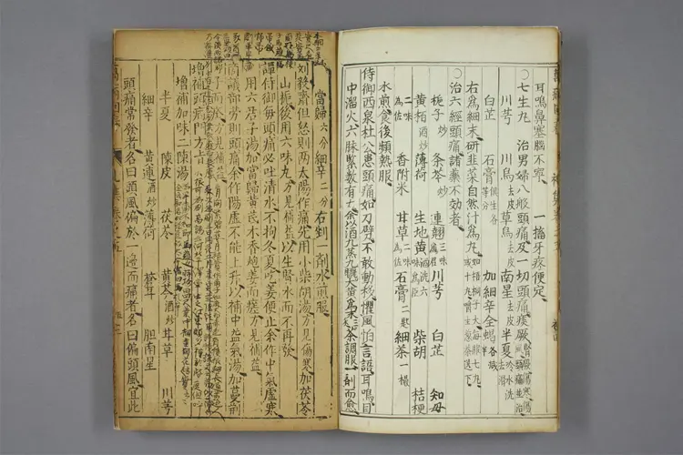 增补万病回春卷五 增补万病回春卷五