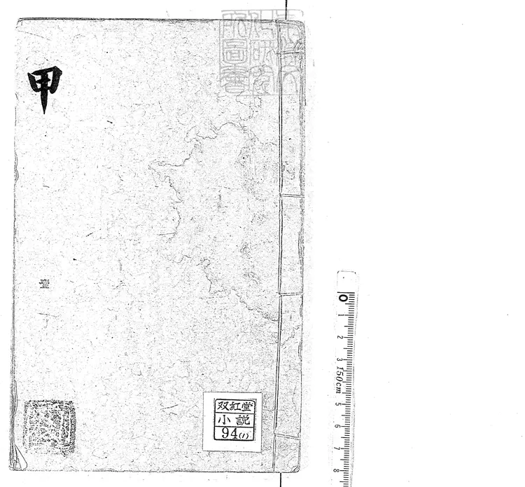 918 浪史四十回　光緒中活字印本