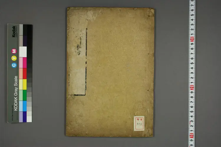 理疠新书 理疠新书