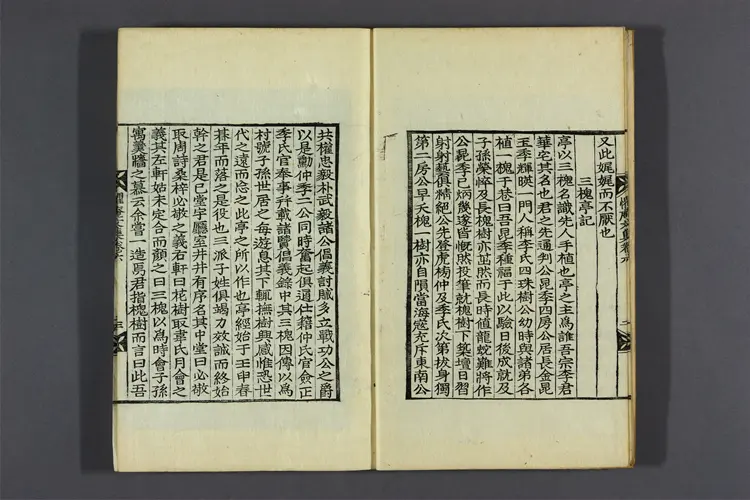 懼菴先生文集 卷之1-9  李樹仁撰