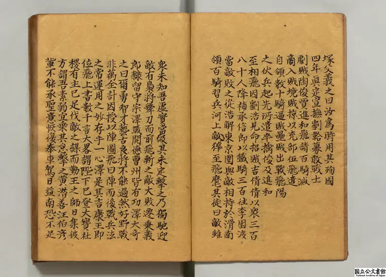 精忠録  著者袁純（明）寛政07年写本