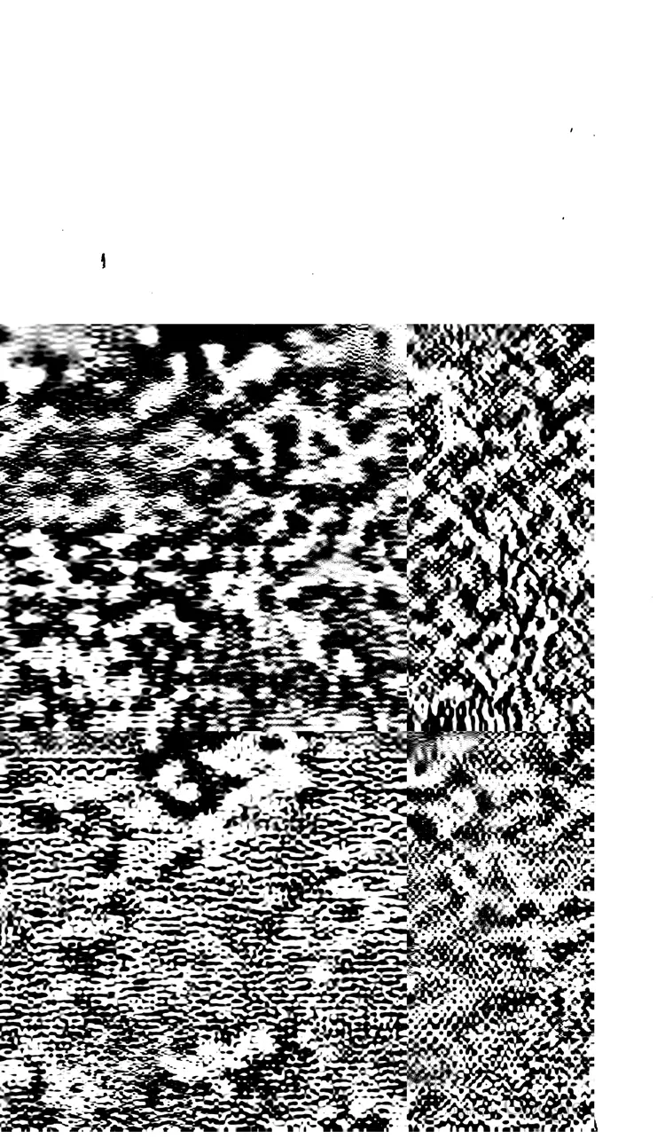 元包经传.限美 元包经传.限美
